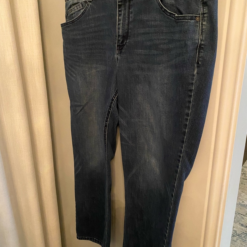 Democracy Dark Wash Ankle Jeans